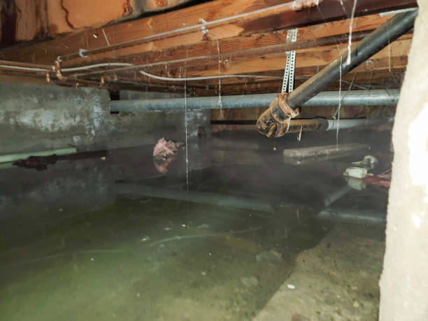 Best 24-hour water damage restoration  in New Sarpy, LA