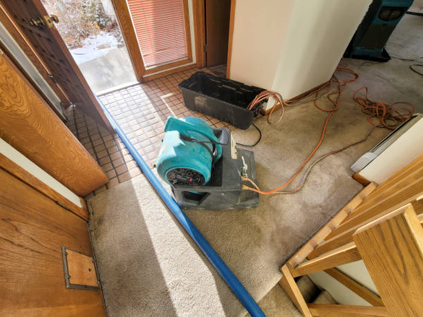 Best Mold removal after water damage  in New Sarpy, LA