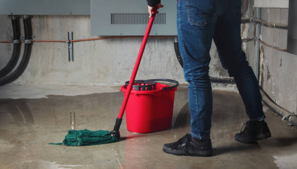 Best 24/7 water damage repair  in New Sarpy, LA