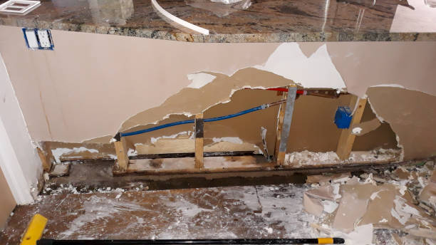 Best Professional water damage repair  in New Sarpy, LA