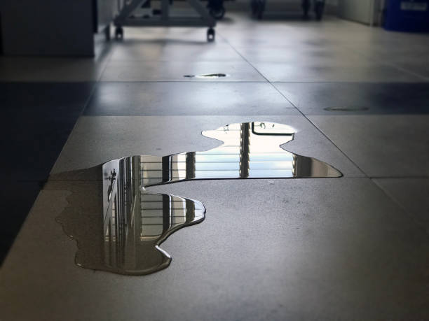 Best Water damage restoration company  in New Sarpy, LA