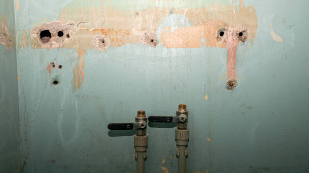 Best Local water damage restoration  in New Sarpy, LA